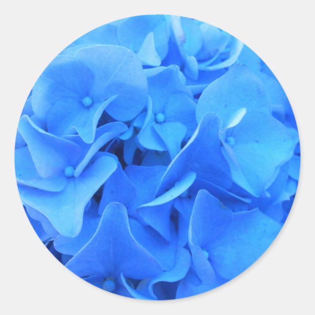 Adesivo Redondo Seraphine (Frente)