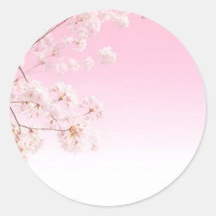 Adesivo Redondo Serenidade de Primavera com Flor de Cerejeira Rosa