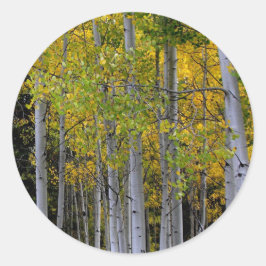 Adesivo Redondo Serenidade no Aspen Dourado e Verde