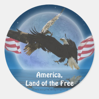 Adesivo Redondo Série BALD EAGLE e US FLAG Patriot