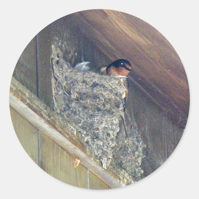 Adesivo Redondo Série Barn Swallow (Frente)