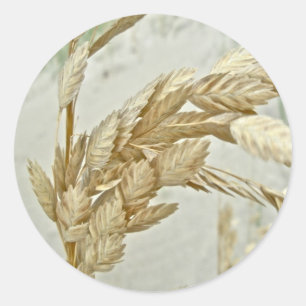 Adesivo Redondo Série exterior do NC dos bancos da aveia do mar