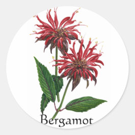 Adesivo Redondo Série Herb Garden - Bergamot