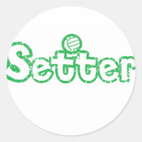 Setter Voleibol