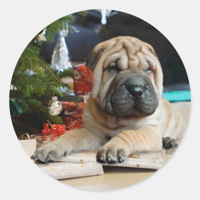 Adesivo Redondo Shar Pei Natal (Frente)