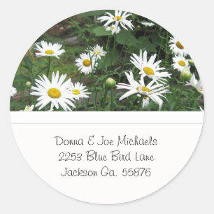 Adesivo Redondo Shasta Daisies Endereço Stickers