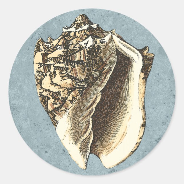 Adesivo Redondo Shell Conch Stonewash (Frente)
