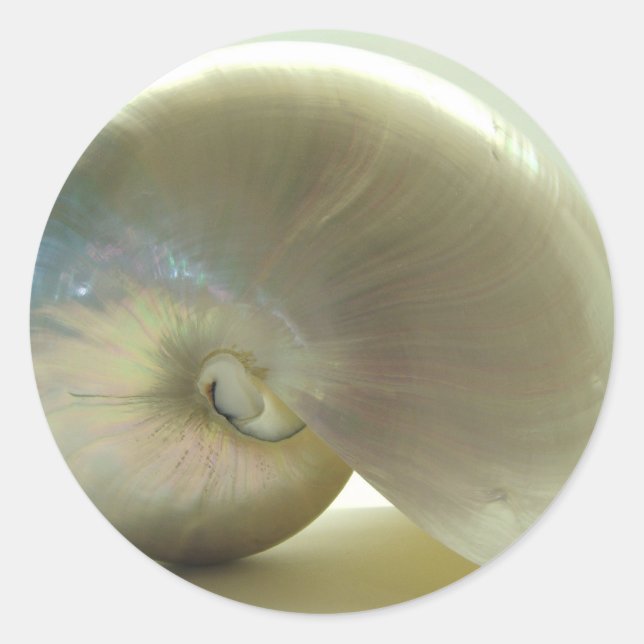 Adesivo Redondo Shell nº 1 (Frente)