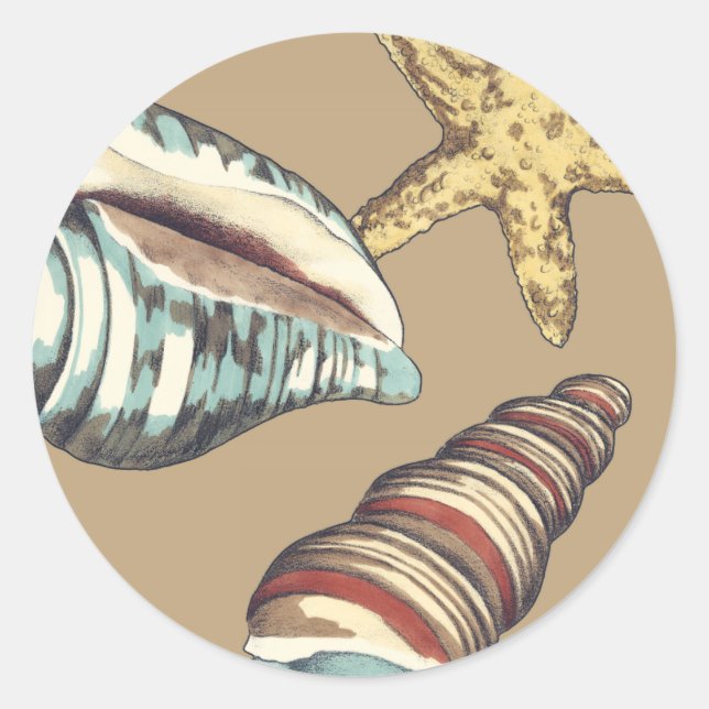 Adesivo Redondo Shell Trio em Khaki (Frente)