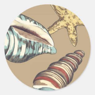 Adesivo Redondo Shell Trio em Khaki