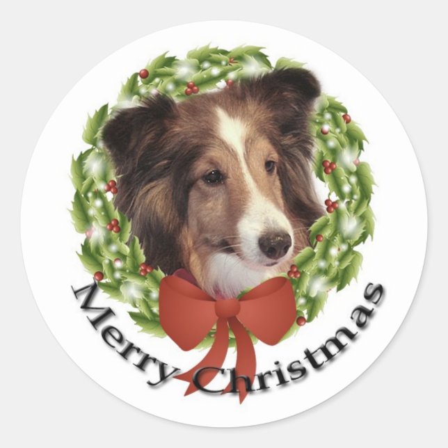 Adesivo Redondo Sheltie Holiday nº 2 Sticker (Frente)