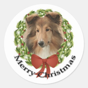 Adesivo Redondo Sheltie Holiday nº 3 Sticker