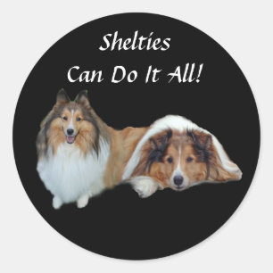 Adesivo Redondo Sheltie Sticker