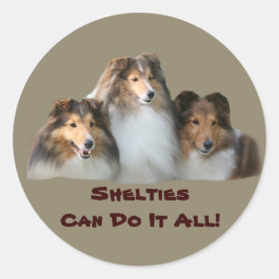 Adesivo Redondo Sheltie Sticker