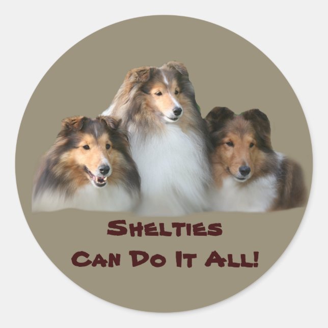 Adesivo Redondo Sheltie Sticker (Frente)