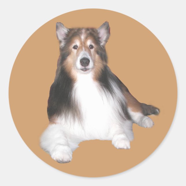 Adesivo Redondo Sheltie Sticker (Frente)