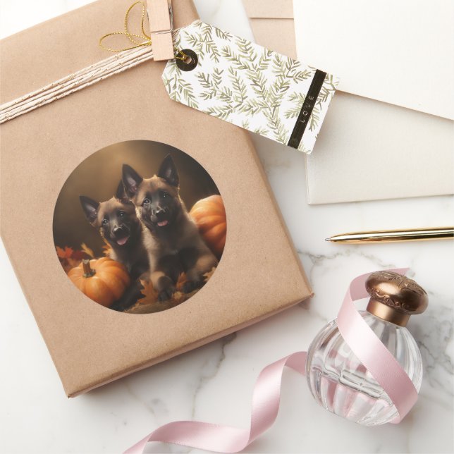 Adesivo Redondo Shepherd Belga Puppy Autumn Delight Pumpkin (Presentear)