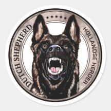 Shepherd - Hollandse Herdershond