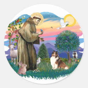 Adesivo Redondo Shetland Sheepdog (sable and white)