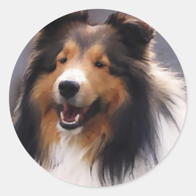 Adesivo Redondo Shetland Sheepdog Sheltie Gifs (Frente)