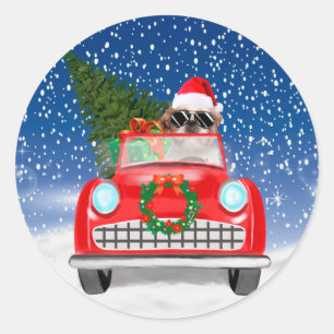 Adesivo Redondo Shih Tzu Cão Dirigindo Carro Na Neve Natal