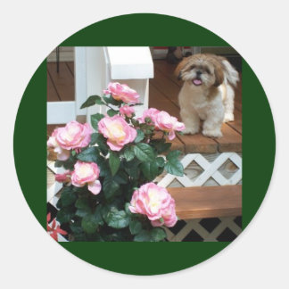 Adesivo Redondo Shih Tzu com Flores de primavera