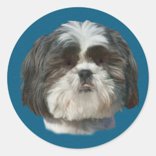 Adesivo Redondo Shih Tzu Dog Sticker