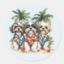 Shih Tzu Dogs Vestindo camisas havaianas