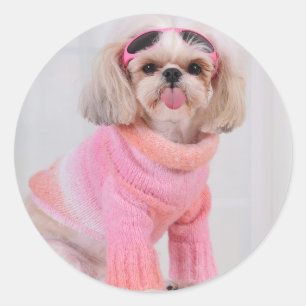 Adesivo Redondo Shih Tzu Puppy - A Razz