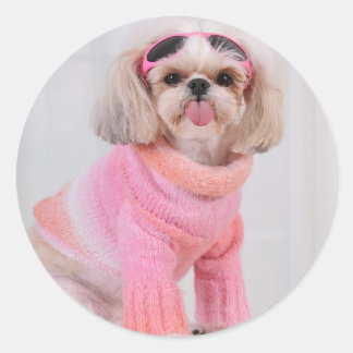 Adesivo Redondo Shih Tzu Puppy - A Razz