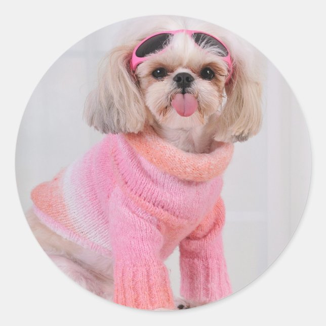 Adesivo Redondo Shih Tzu Puppy - A Razz (Frente)