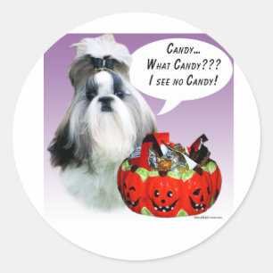 Adesivo Redondo Shih Tzu (ranzinza) Halloween Candy