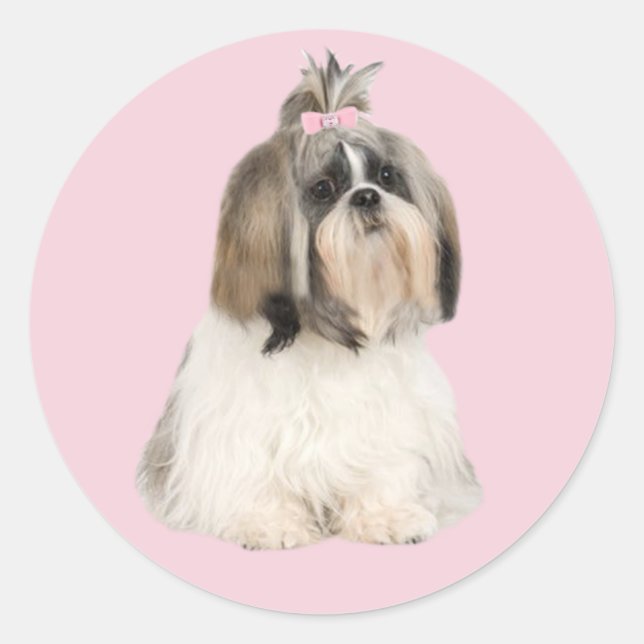 Adesivo Redondo Shih Tzu Sticker (Frente)