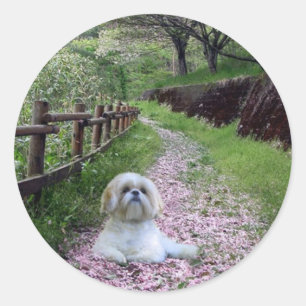 Adesivo Redondo Shih Tzu Sticker Purple Flowers