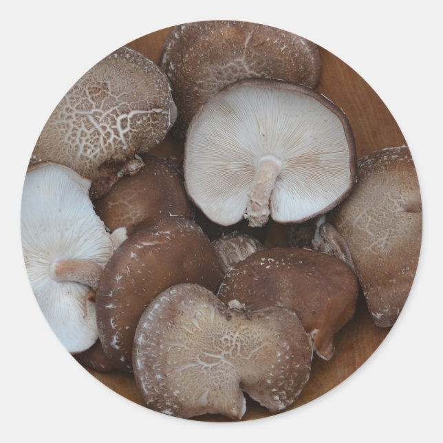 Adesivo Redondo Shiitake Mushroom Stickers (Frente)