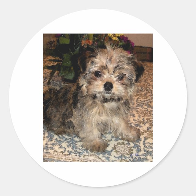 Adesivo Redondo Shorkie Puppy (Frente)