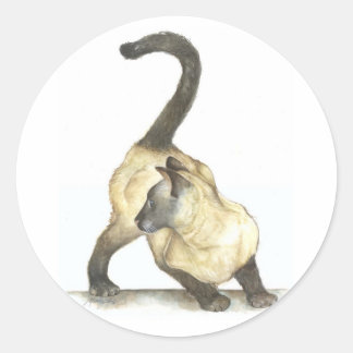 Adesivo Redondo siamês de gato
