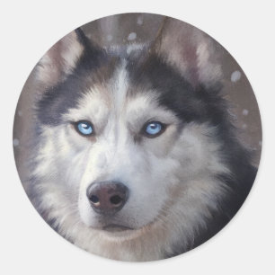 Adesivo Redondo Siberian Husky