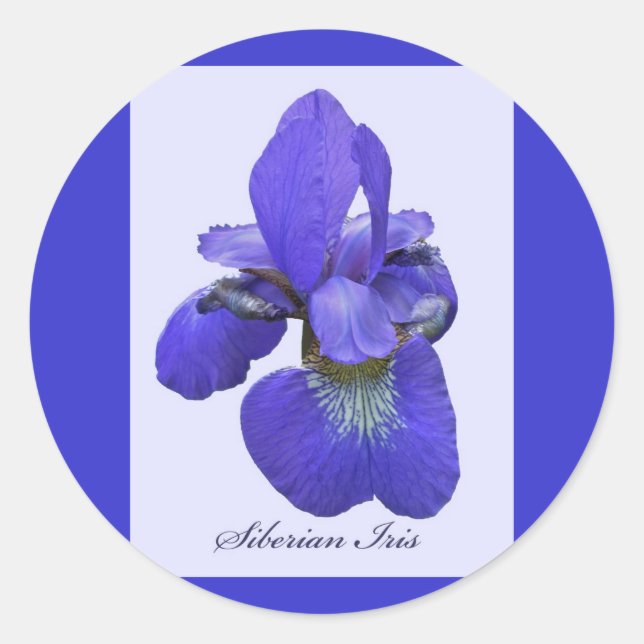Adesivo Redondo Siberian Iris Sticker (Frente)