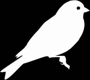 Adesivos Silhueta Passaro Passarinho Zazzle Com Br Público, atriz e diretora compartilharam de uma. adesivos silhueta passaro passarinho