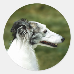 Adesivo Redondo Silken Windhound A