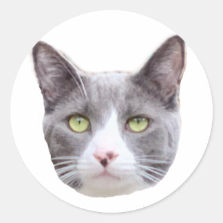 Adesivo Redondo Simon Sticker