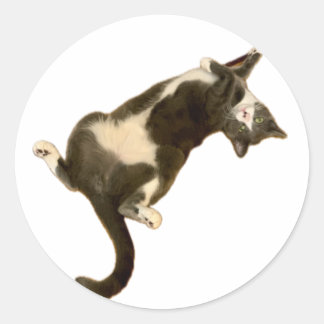 Adesivo Redondo Simon Sticker - Jogando!