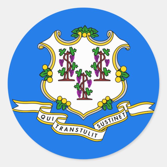 Adesivo Redondo Sinalizador do Estado de Conexão (Frente)