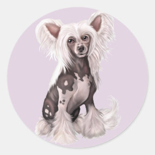 Adesivo Redondo Sit Chinês Crested Hairless