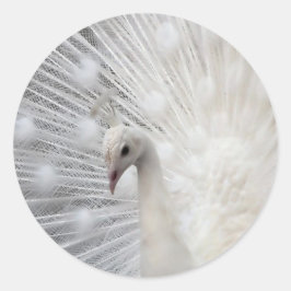 Adesivo Redondo Skully Top Divertido