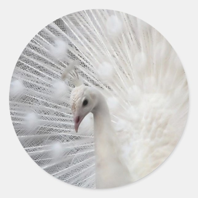 Adesivo Redondo Skully Top Divertido (Frente)