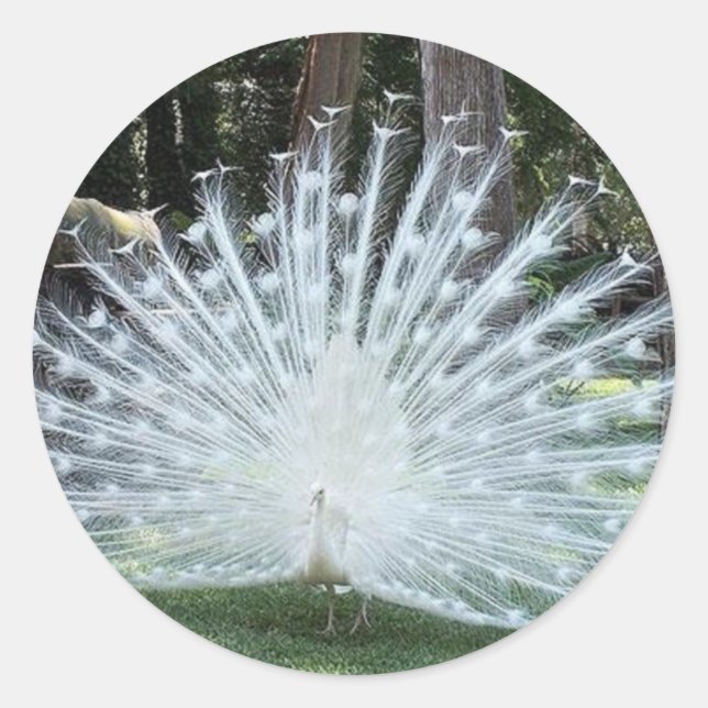 Adesivo Redondo Skully Top Divertido (Frente)