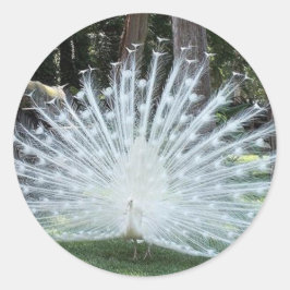 Adesivo Redondo Skully Top Divertido