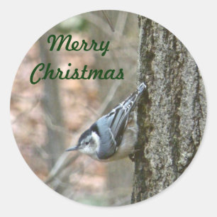 Adesivo Redondo Slate Cinza Nuthatthatbird Natal Songbird Natal